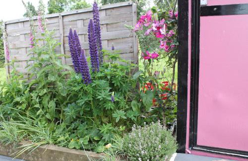 Off the Rails - Foto 2