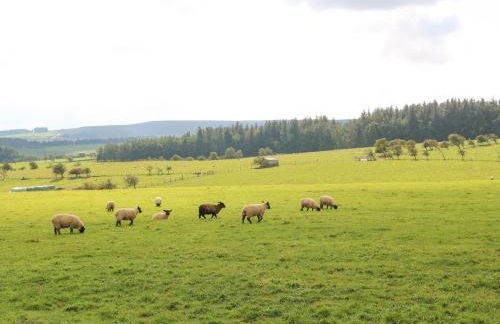 The Barn Cottage - Foto 26