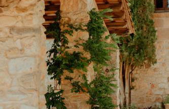 Mas Noguer - Foto 12