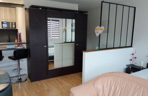 Charmant studio classé 3 étoiles au coeur de Niederbronn-les-Bains - Foto 3