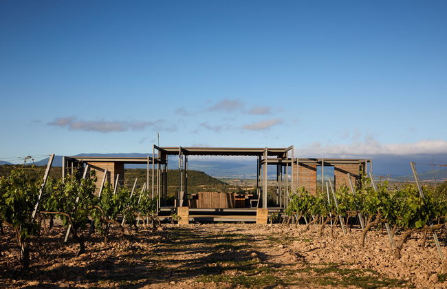 Royal Vineyard (Alava) - Photo 1