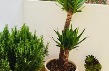 Tavira Garden- One Bedroom with Terrace - Foto 23