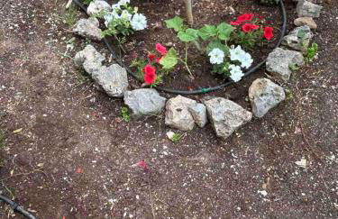 Villia home - Foto 28