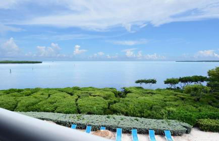 335 Mariners Club - Foto 1