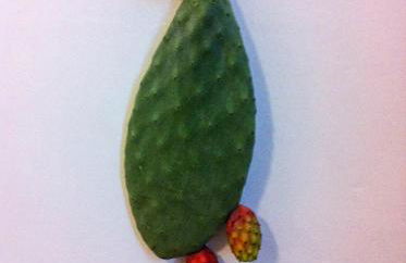 Villino Odaldo - Foto 11