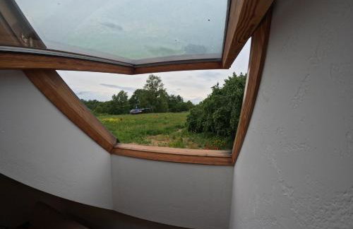 Miejski Las 8 - Foto 17