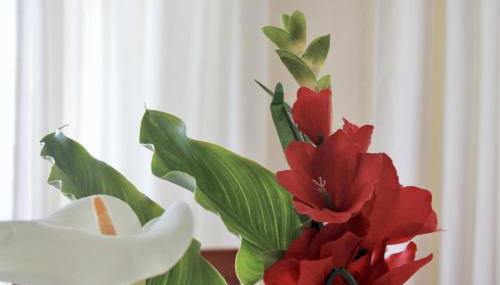 Villa Currina - 7801 - Foto 5