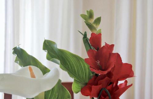 Villa Currina - 7801 - Foto 5