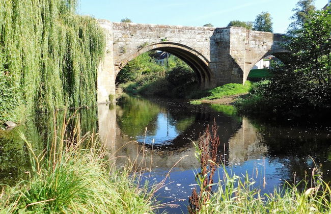 Larkhall Burn - Foto 26