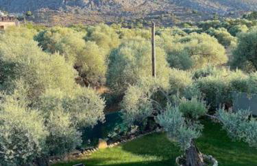 Olives Villa - Photo 38