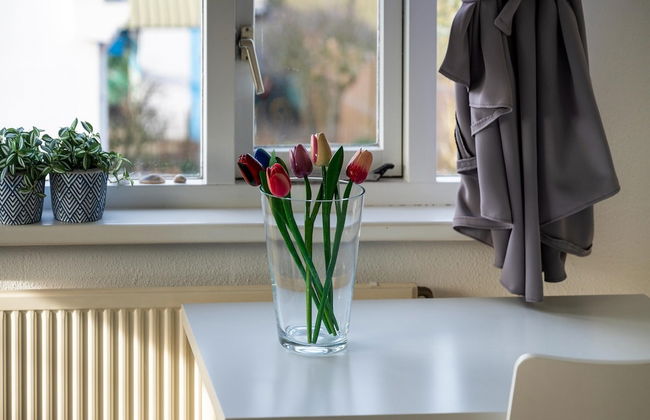 Relax in Your Holiday Home With Sauna, Near the Beach of Noordwijk - Foto 33