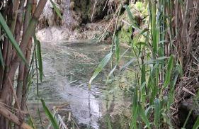 LA BRISA - Foto 46