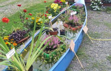 Altana całoroczna Piotr numer 6 - Herbergerówka Agroturystyka na wsi - Foto 6