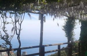 Limoneto Di Ercole - Foto 10