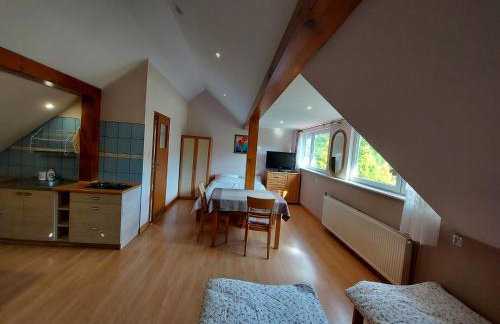 Agroturystyka Pod Klonem - Foto 59