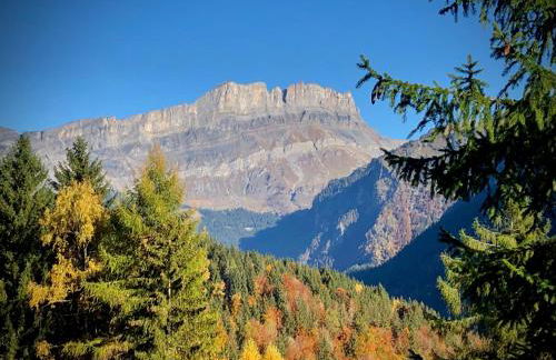 Mountain Cabin - vue montagne - 4 personnes - Foto 10