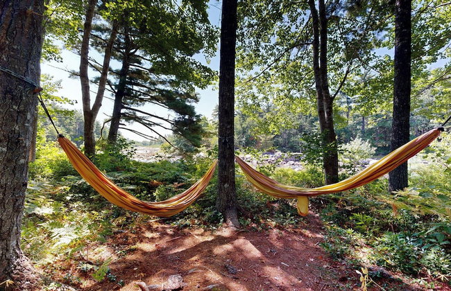 Roseway River Cottages - Foto 30