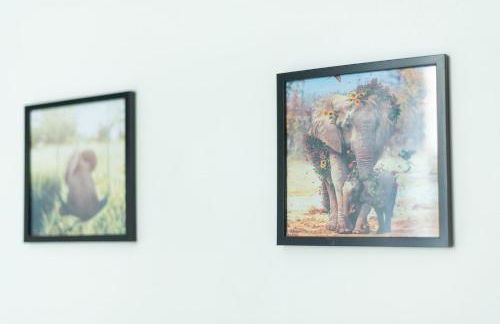 L'ELEDAURAT - Centre ville Riom - Idéal professionnel - Proche Clermont Ferrand - Foto 17