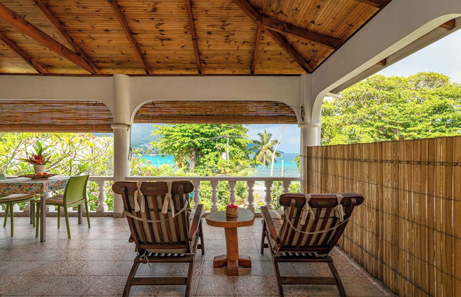 Beau Bamboo - Foto 19