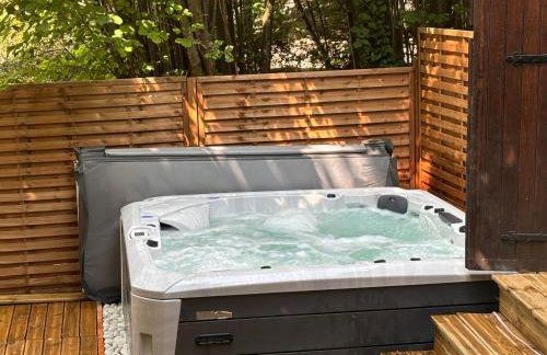 La Chaumière Luxury Domain with 2 Apartments Spa and Pool near Disneyland - Foto 49