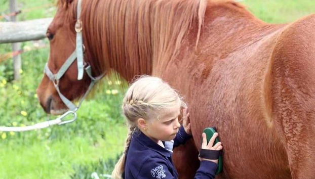 Quinta Pedagógica da Samoqueirinha - Duna Parque Resorts & Hotels - Foto 2, Imagen principal