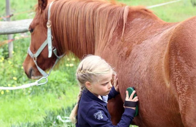 Quinta Pedagógica da Samoqueirinha Duna Parque Resorts & Hotels - Foto 1