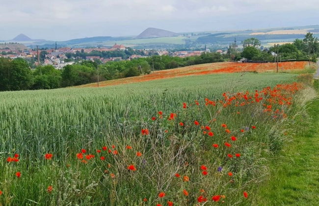 Haus Elfi Modern Retreat - Foto 15