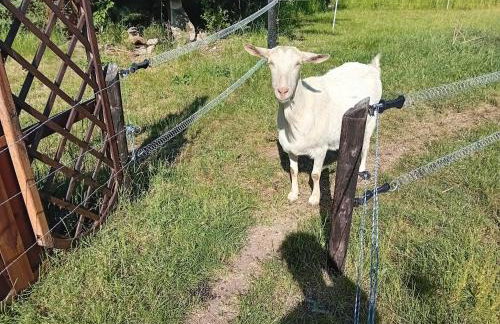 Chatka Święty Spokój - Foto 27