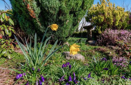 2 Bed in Long Marton oc-c34661 - Foto 29