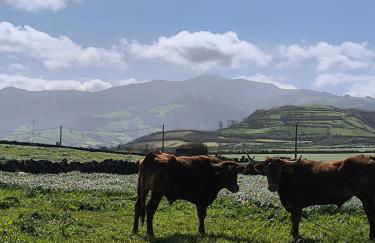 Nono Guest House - Photo 20