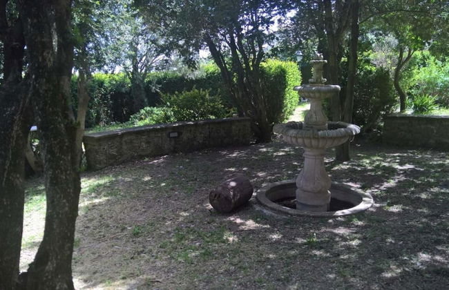 I Templari - Photo 40