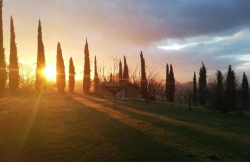 Agriturismo Podere Bianca Maria - Foto 5