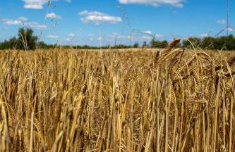 El Miracle - Photo 32