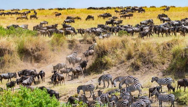 Safari de 7 días por Masái Mara, Amboseli, Hell's Gate y Lago Nakuru - Foto 5
