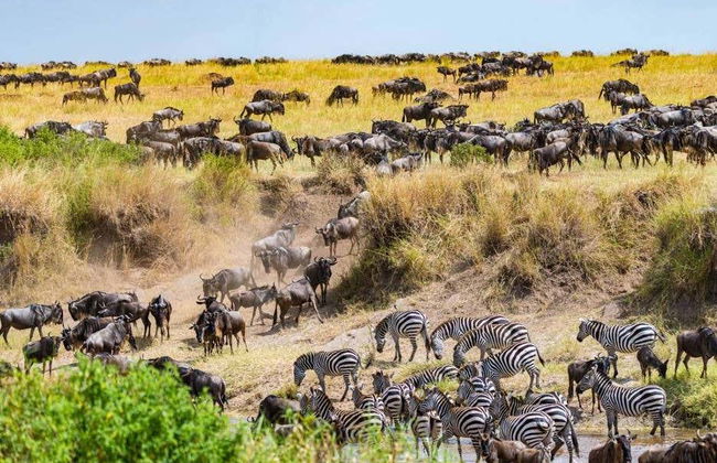 Safari de 6 días por Masái Mara, Amboseli y lago Naivasha - Foto 8