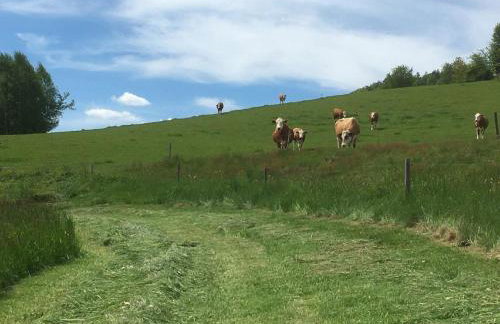 Biohof Weiderer - Foto 18