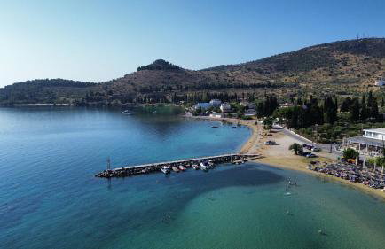 The Sunny House - Photo 29