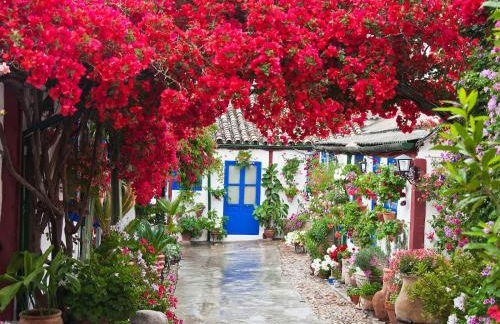 Casa Turística San Agustín - Foto 36