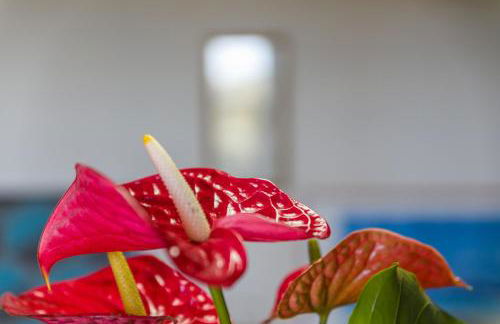 Elba Casale al Mare Cm6 - Foto 7