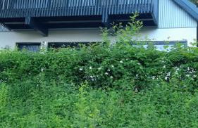 Ferienhaus im Seepark Kirchheim - Foto 1