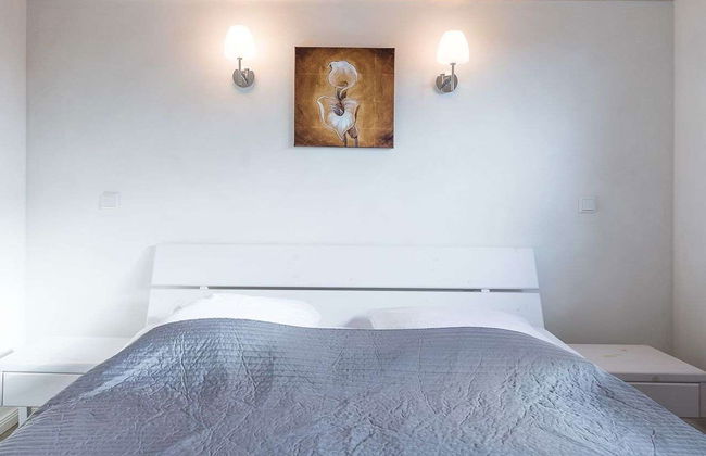 Strandflieder - Foto 4