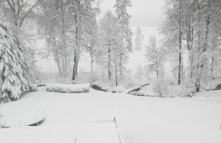 Ferienwohnung Wolf - Foto 19