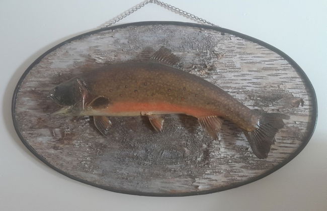 Blue Mountain Rest - Foto 49