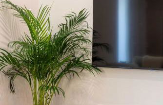 Charm House Sintra 43 - Historic Center Stay - Foto 16