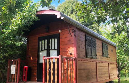 Millygite roulotte - 4 seasons Chalet-on-wheels - Foto 1