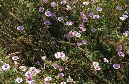 Tanllan Apartment - Foto 38