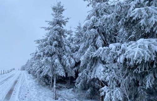 Gästehaus Melitta - Foto 33