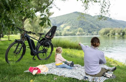 St Jakobshof für Moselurlaub mit Familie - Foto 41