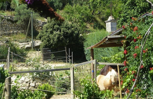 Cozy Vacation House With Pool, Vernegues - Foto 20