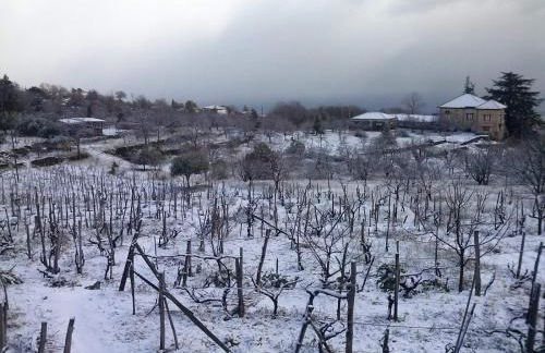 Villa Etna Masi' - Foto 59